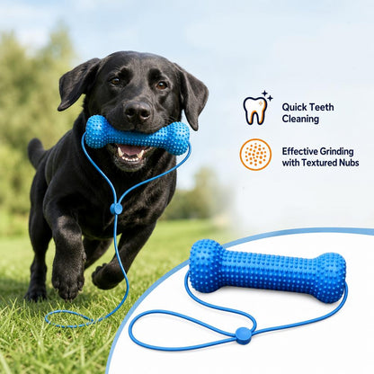 BrightBite™ Dental Bone