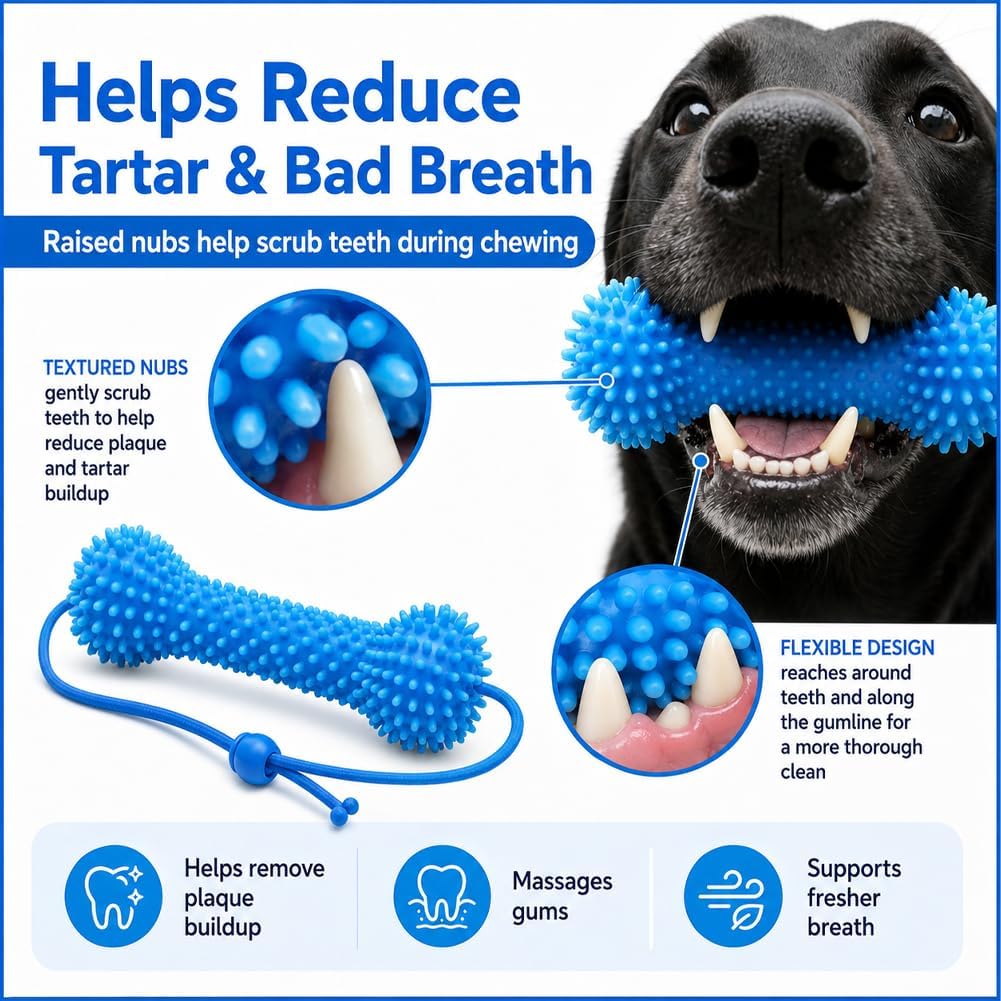 BrightBite™ Dental Bone