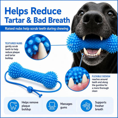 BrightBite™ Dental Bone
