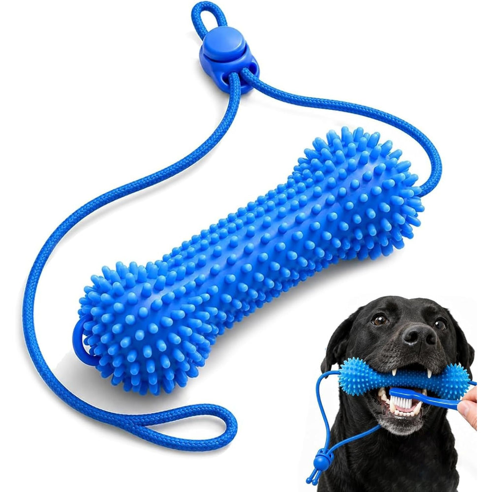 BrightBite™ Dental Bone