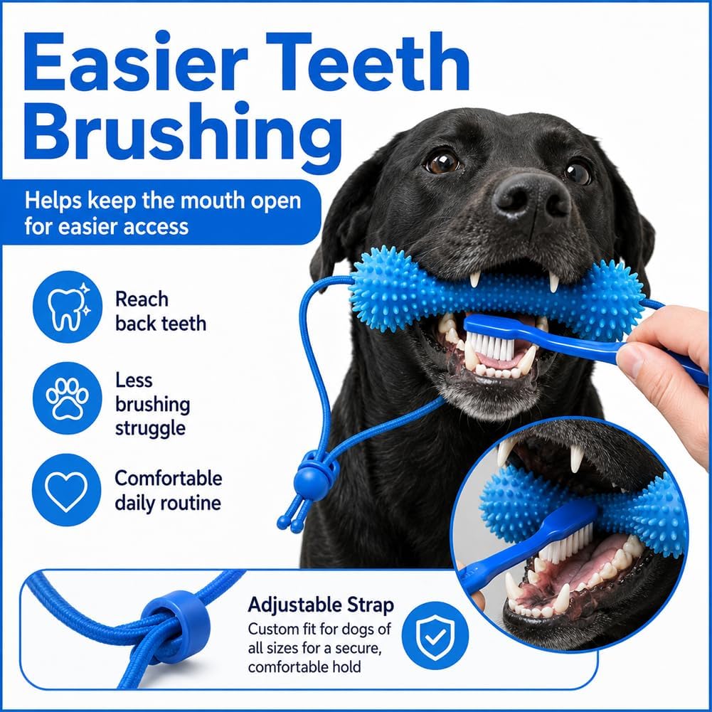 BrightBite™ Dental Bone