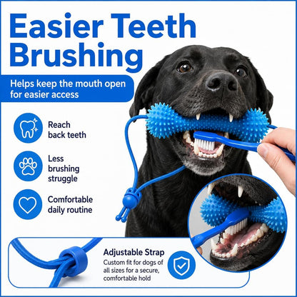 BrightBite™ Dental Bone
